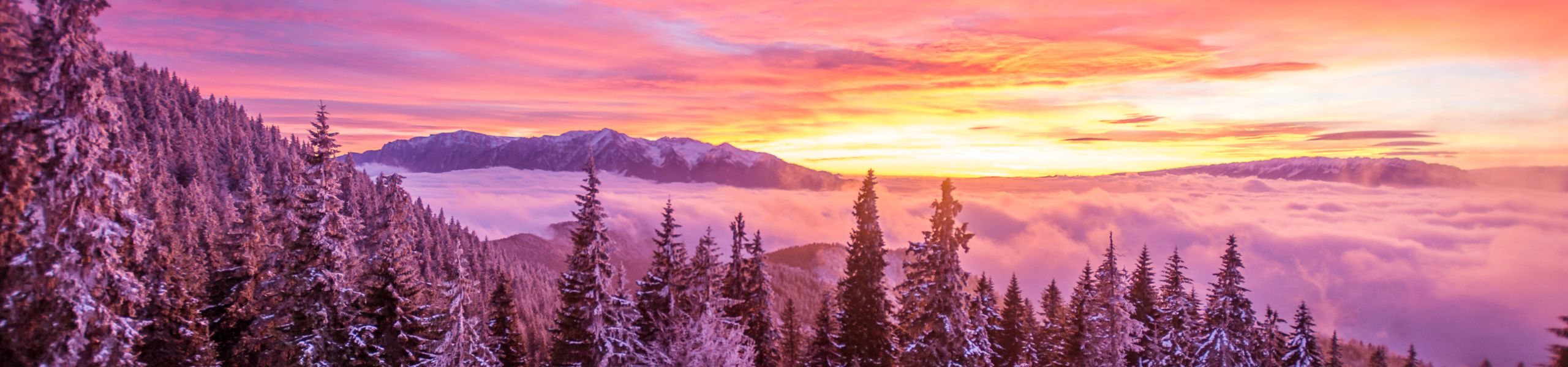 Bootstrap Image Preview